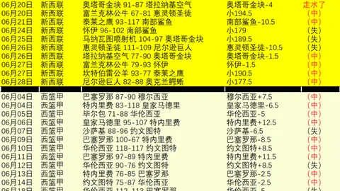 同款系列罕见双赛，2026前瞻解析